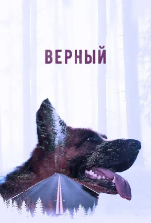 Верный (фильм 2016)