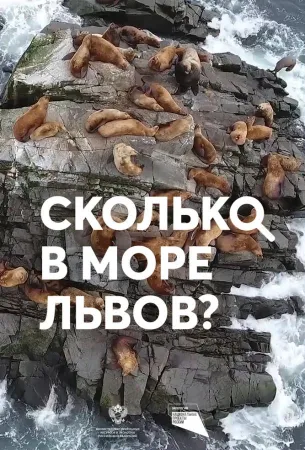 Сколько в море львов? (фильм 2018)