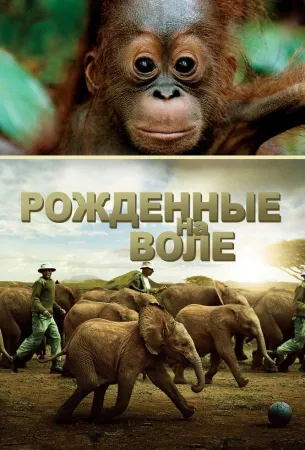 Рожденные на воле (фильм 2011)